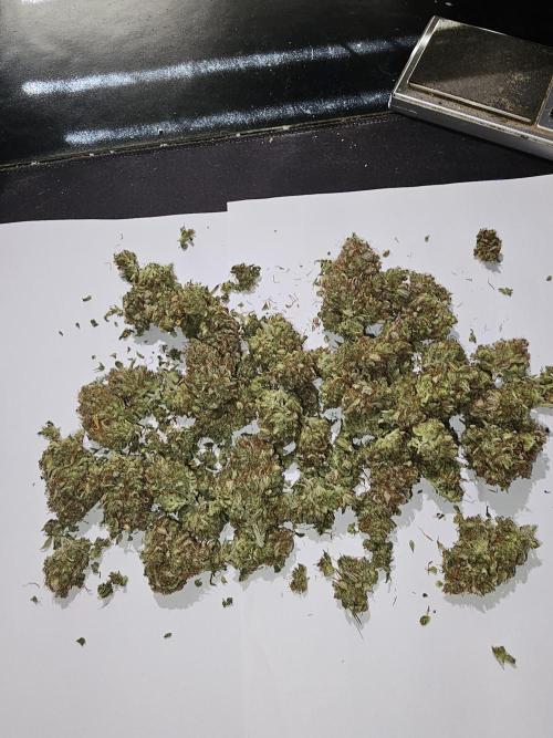 Cheezy Bubba-Thumps (Dunkin cup grow). Week 14