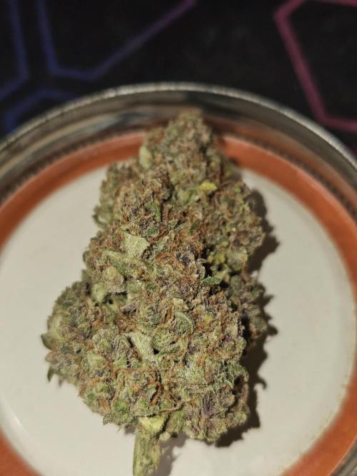 Popesicle 2. Week 13