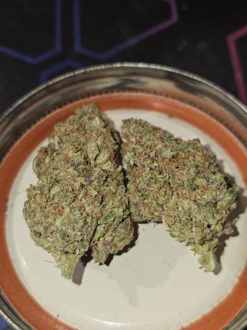 Popesicle 2. Week 13