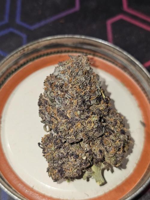 Mango Runtz. Week 13