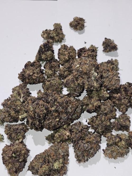 Mango Runtz. Week 13