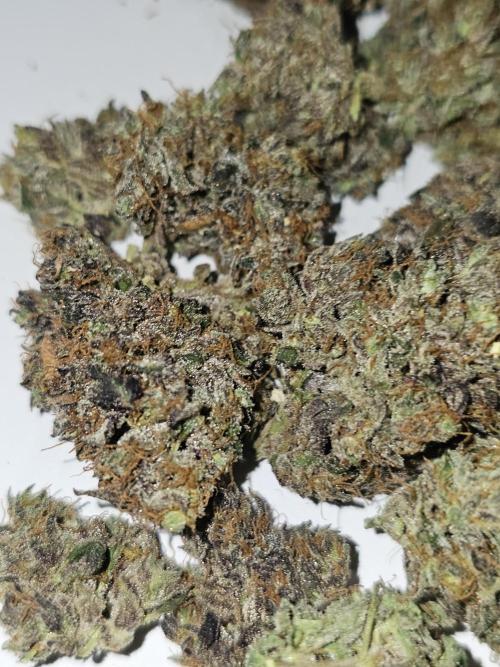 Hoodoo Mama Juju. Week 13