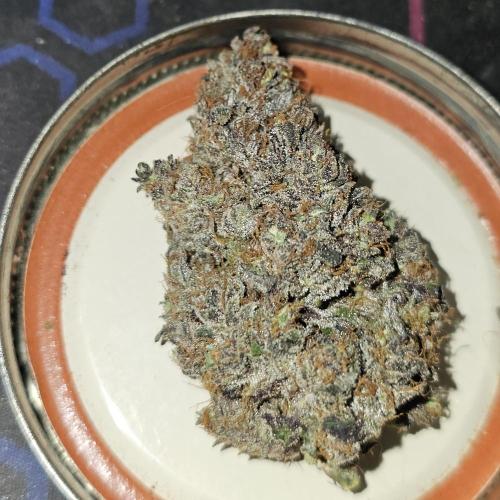 Hoodoo Mama Juju. Week 13