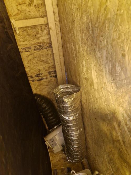 Rs11 pheno hunt. Week 4