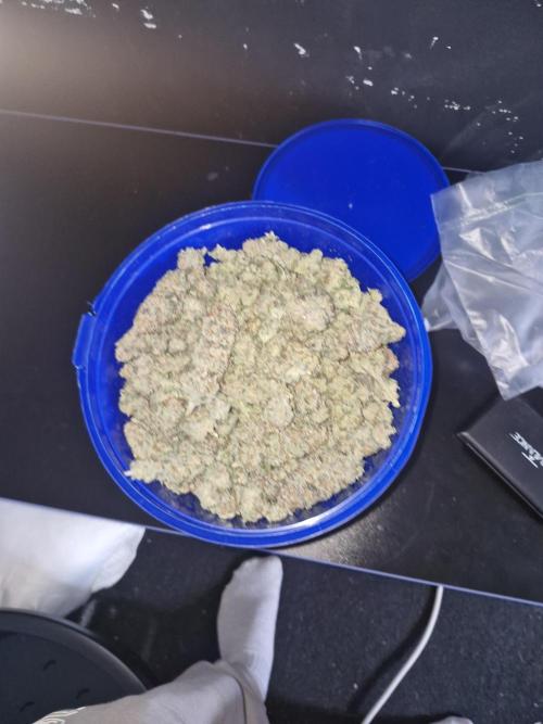 Rs11 pheno hunt. Week 18
