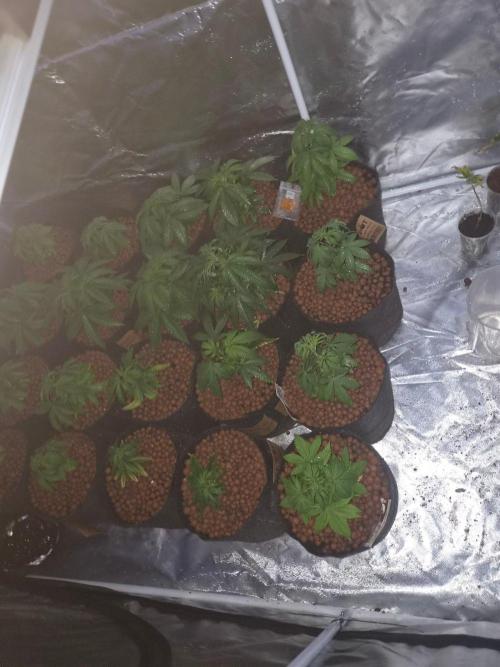 New set up. Week 2
