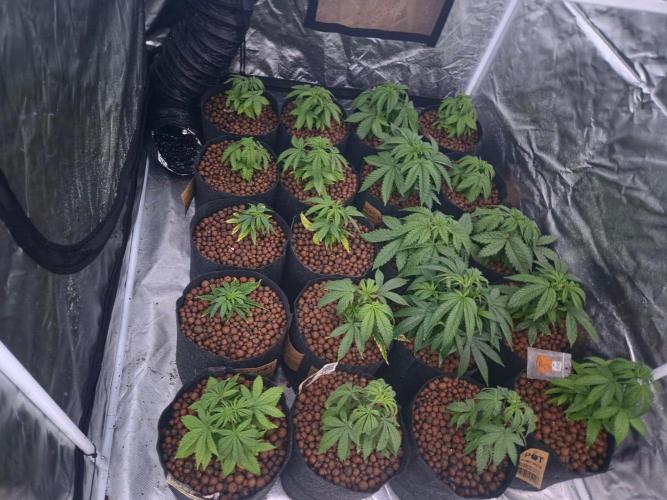 New set up. Week 2