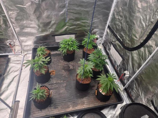 New set up. Week 3