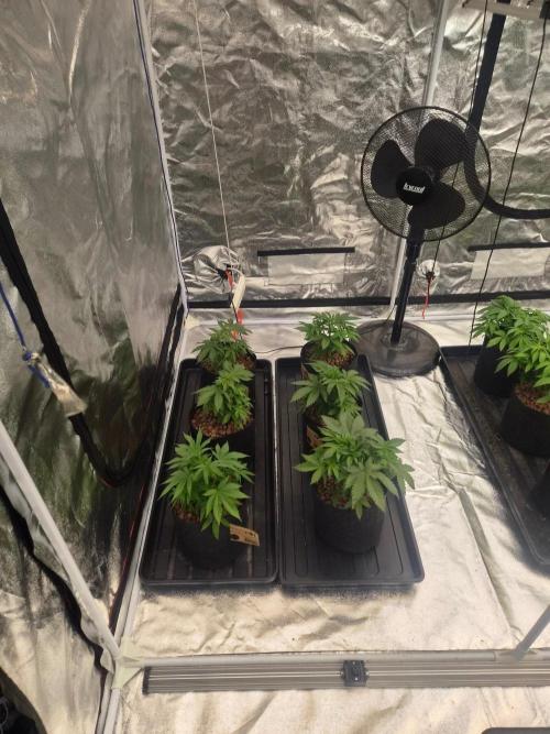 New set up. Week 3
