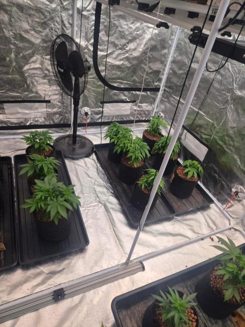 New set up. Week 3