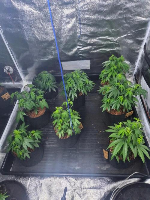 New set up. Week 4