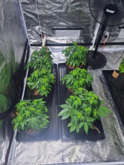 New set up. Week 4