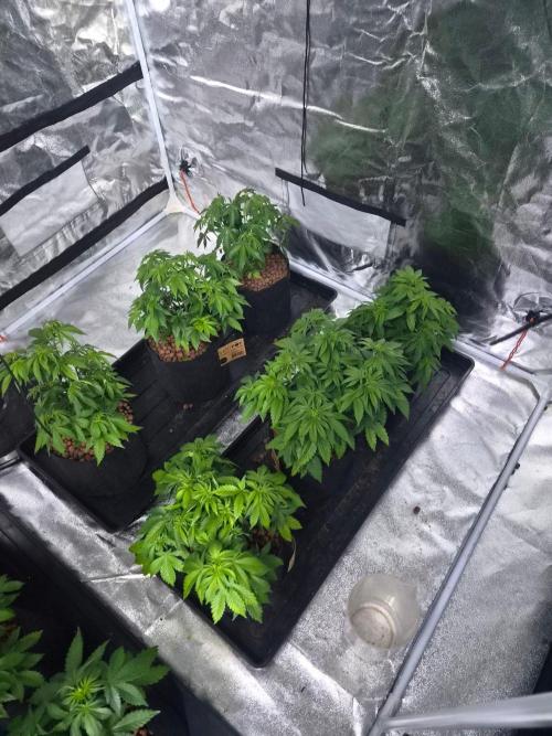 New set up. Week 4