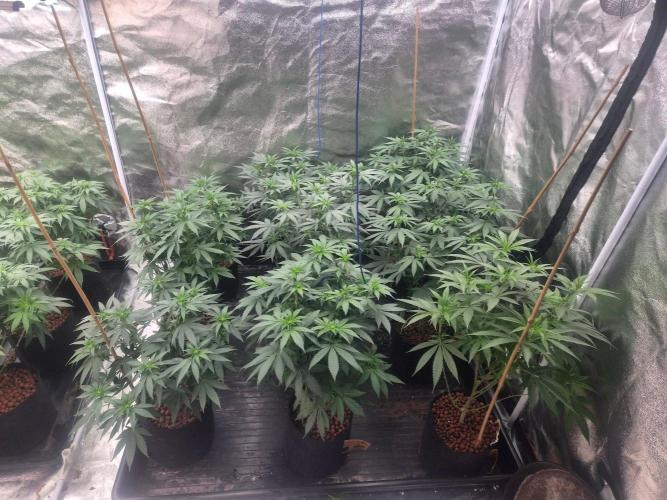 New set up. Week 5