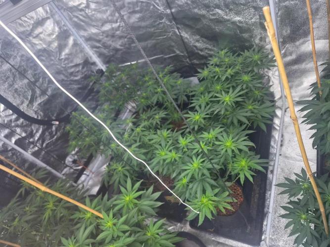 New set up. Week 5