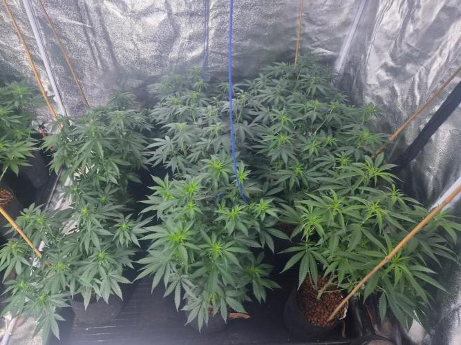 New set up. Week 5