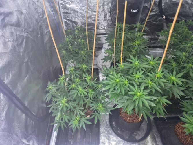 New set up. Week 5