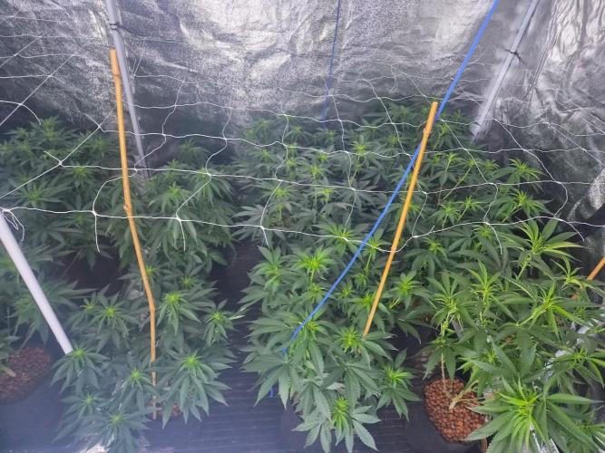 New set up. Week 6