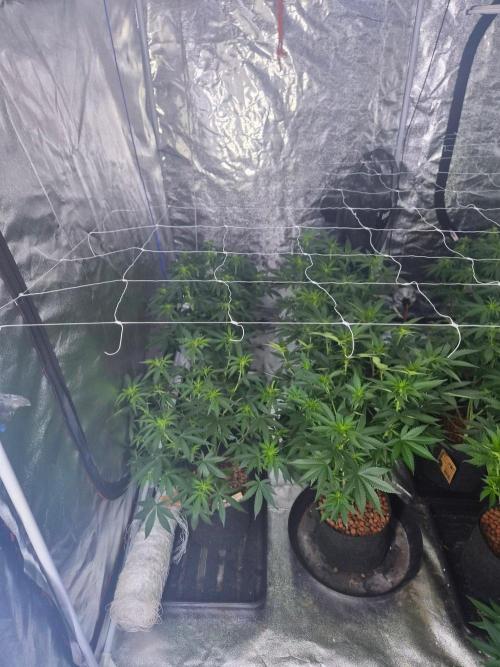 New set up. Week 6