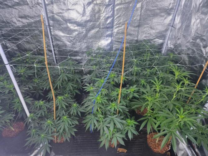 New set up. Week 6