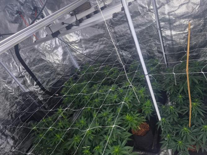 New set up. Week 6
