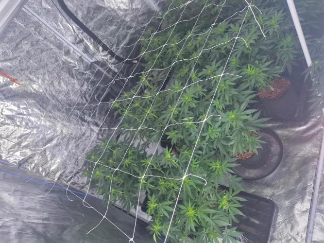 New set up. Week 6