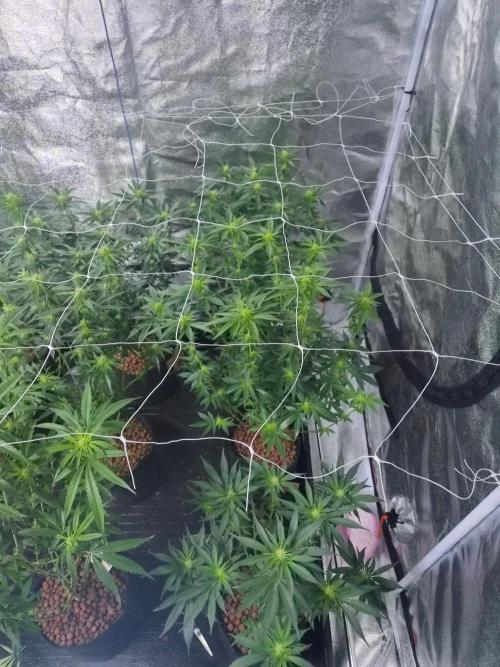 New set up. Week 7