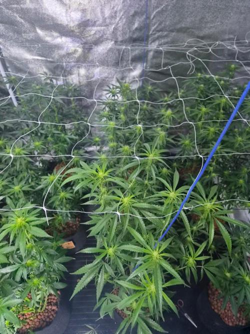 New set up. Week 7