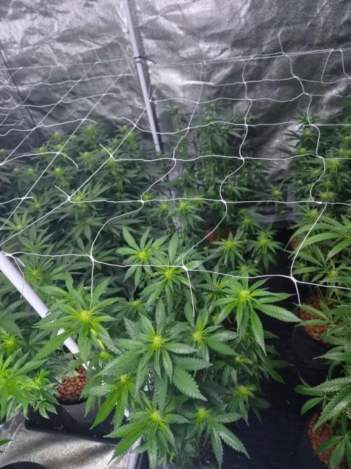 New set up. Week 7