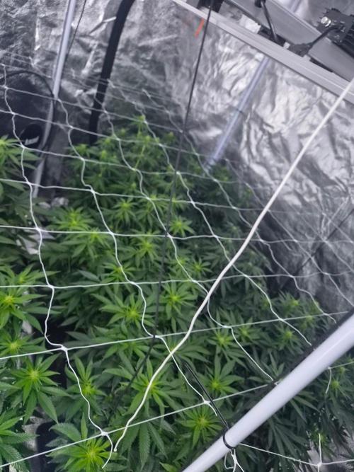 New set up. Week 7