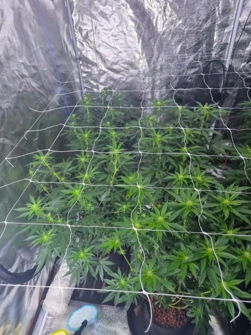 New set up. Week 7