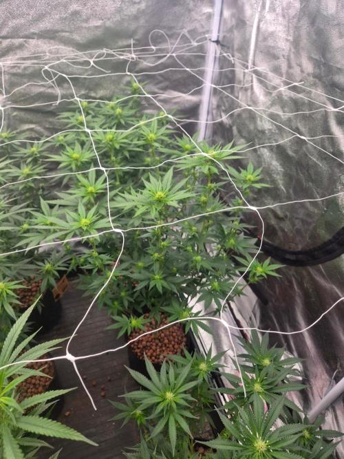 New set up. Week 7