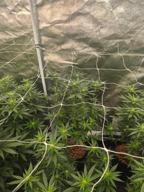 New set up. Week 7