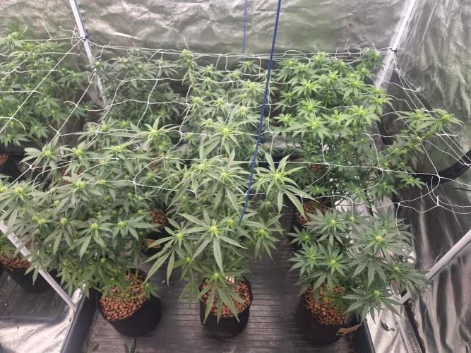 New set up. Week 8