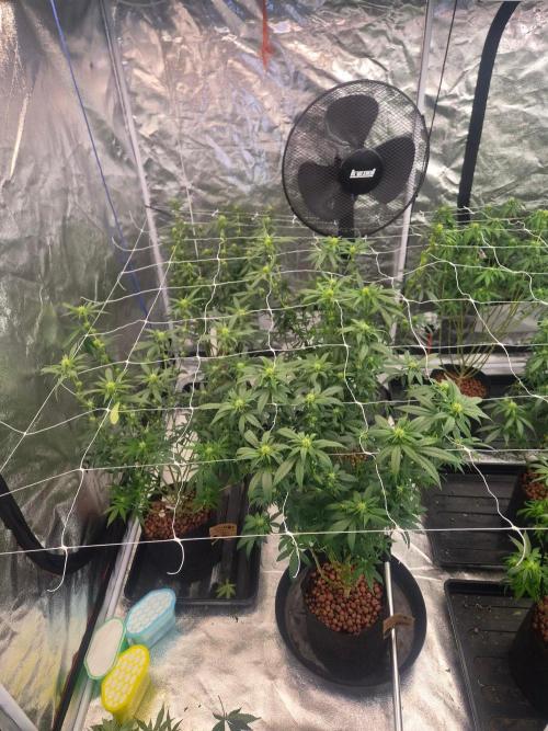 New set up. Week 8