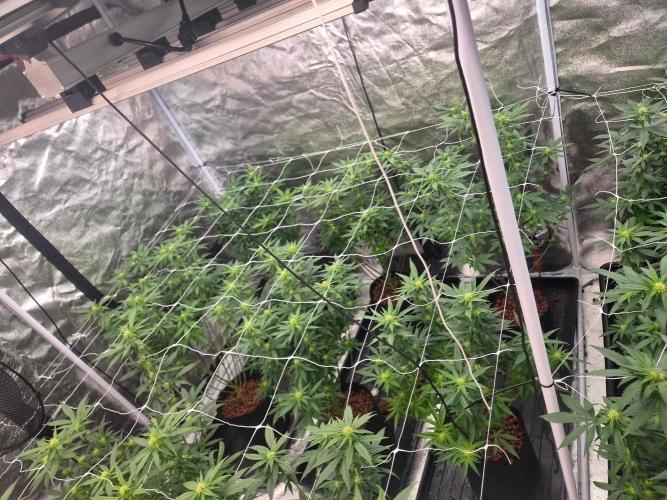 New set up. Week 8
