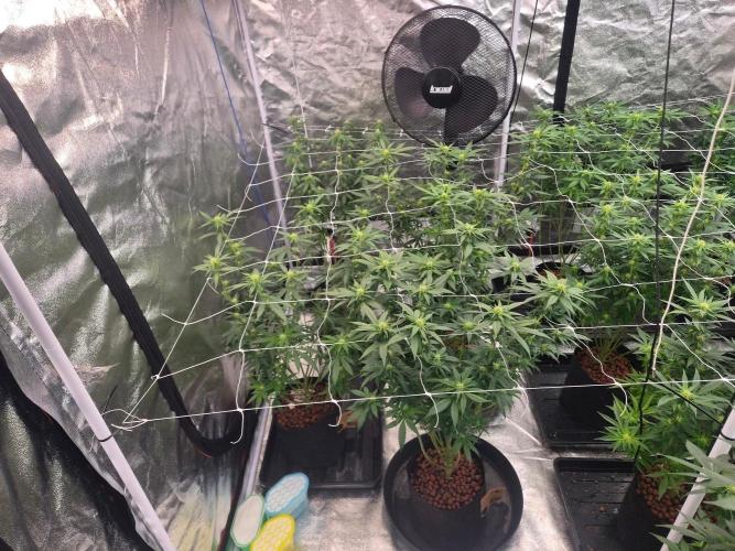 New set up. Week 8