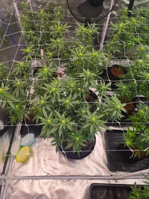 New set up. Week 8
