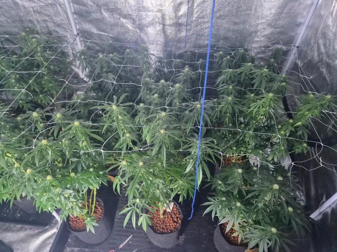 New set up. Week 9