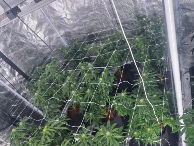 New set up. Week 9