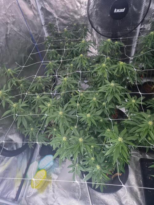 New set up. Week 9