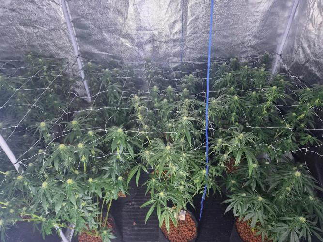 New set up. Week 9