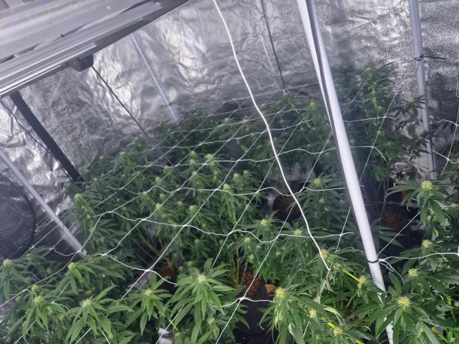 New set up. Week 9