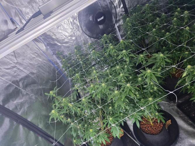 New set up. Week 9