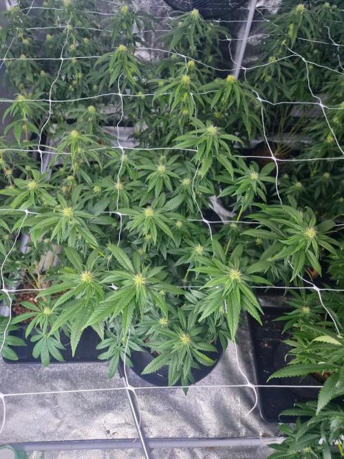 New set up. Week 9