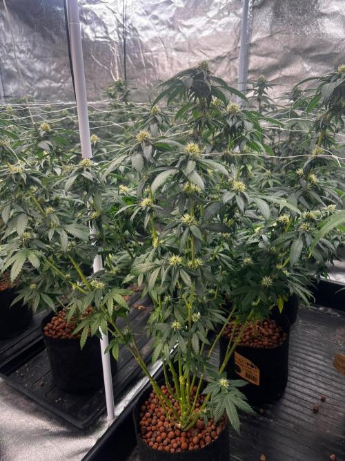 New set up. Week 10