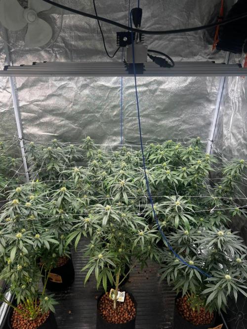 New set up. Week 10