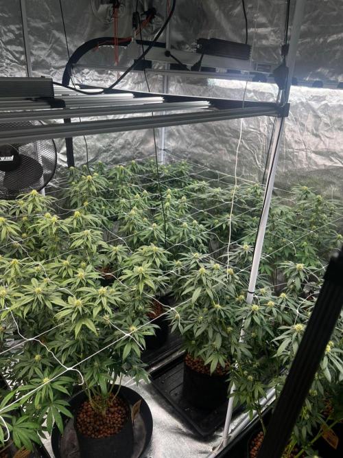 New set up. Week 10