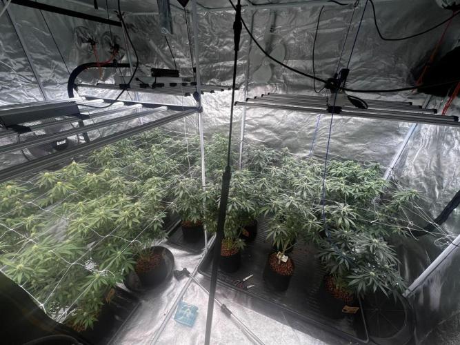 New set up. Week 10