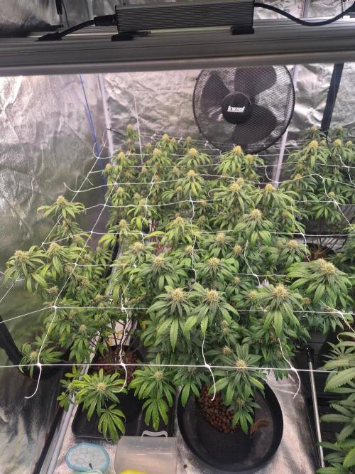 New set up. Week 11